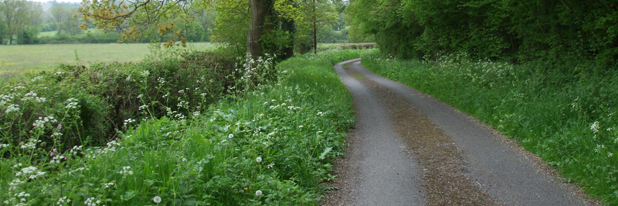 Down the lane to Corsley Mill Down the lane to Corsley Mill