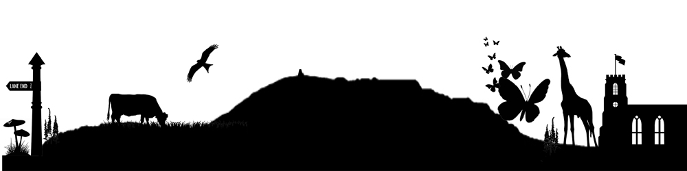 Corsley and The Bridge Corsley and The Bridge