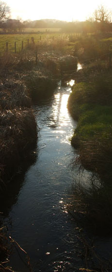 Rodden Brook - between Corsley and Chapmanslade