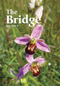 The Bridge%20July%202013