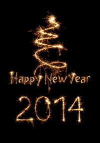 The Bridge - January 2014