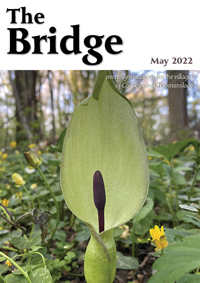 The Bridge - May 2022