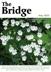 The Bridge - May 2025