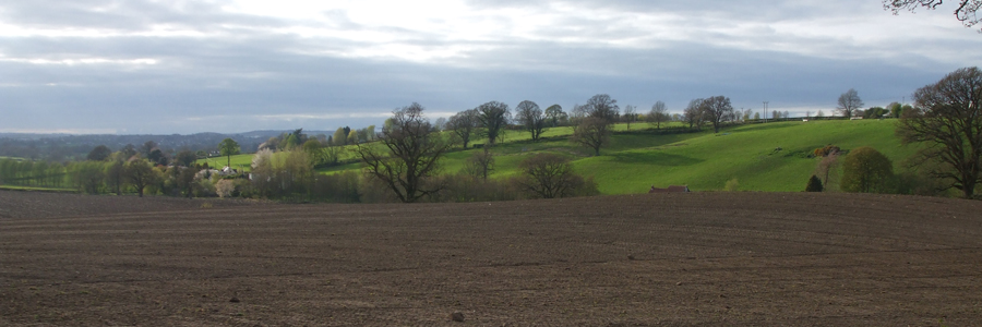 View of Dertford and Lane End from Dertford Wood